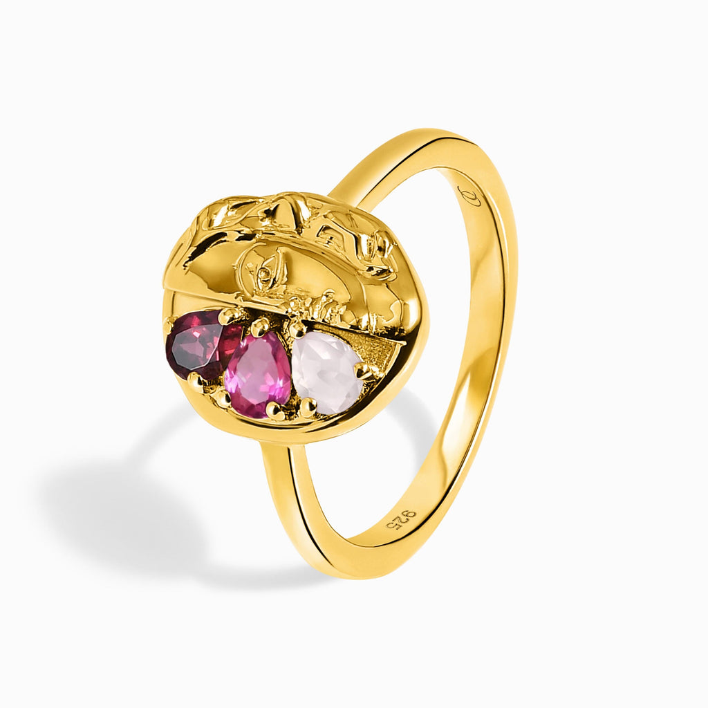 Pink Gradient Ring - Goddess