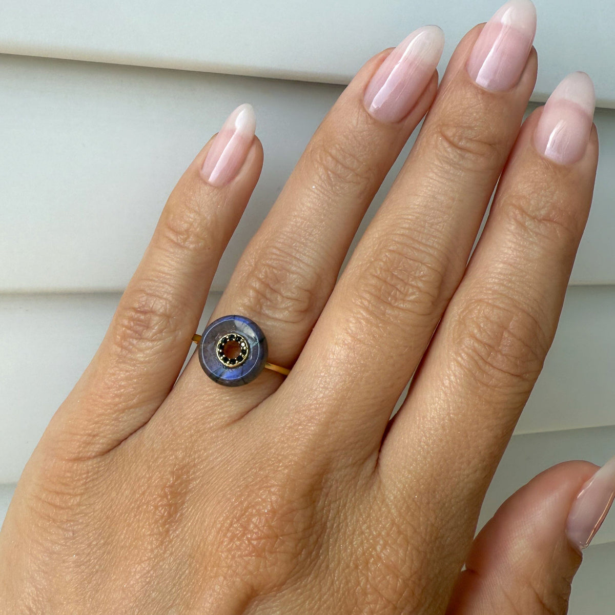 Labradorite Black Spinel Fidget Ring - Liora