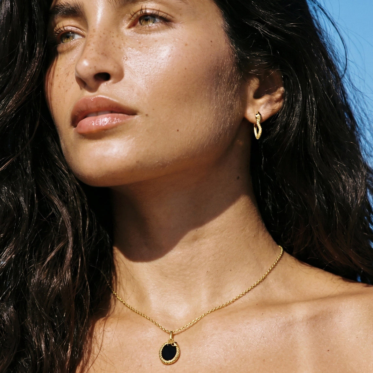 Labradorite Earrings - Serpent