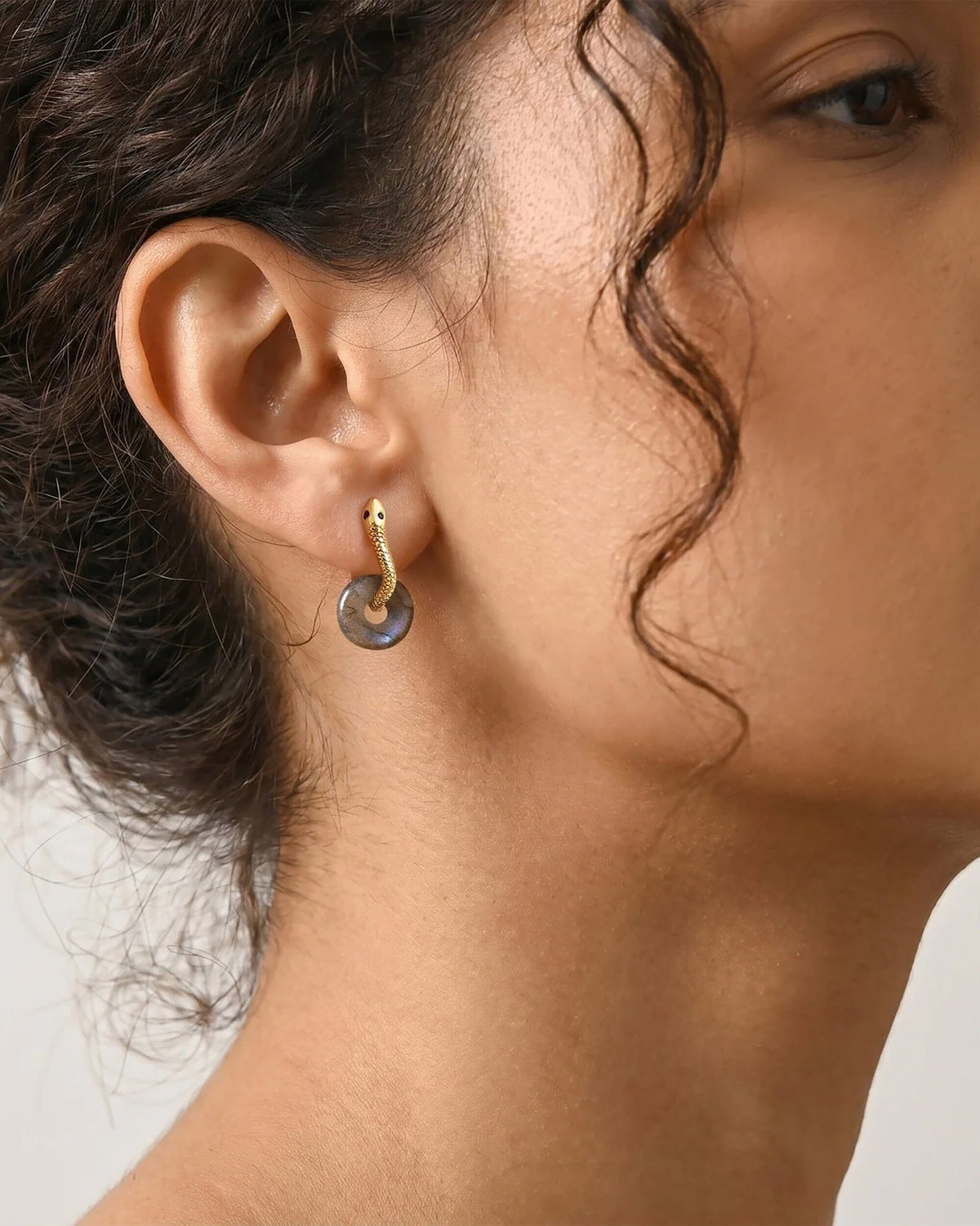 Labradorite Earrings - Serpent