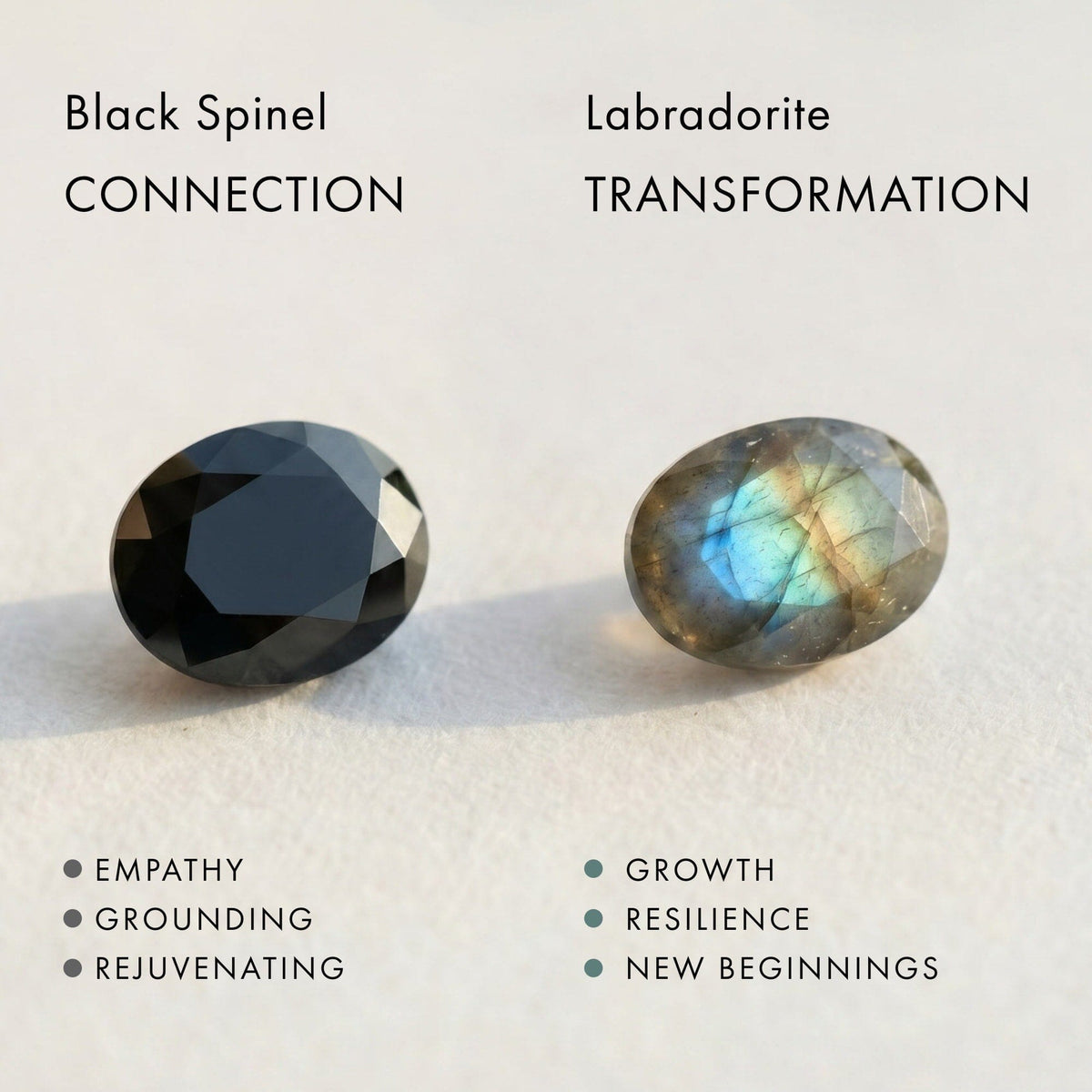 Labradorite Earrings - Serpent