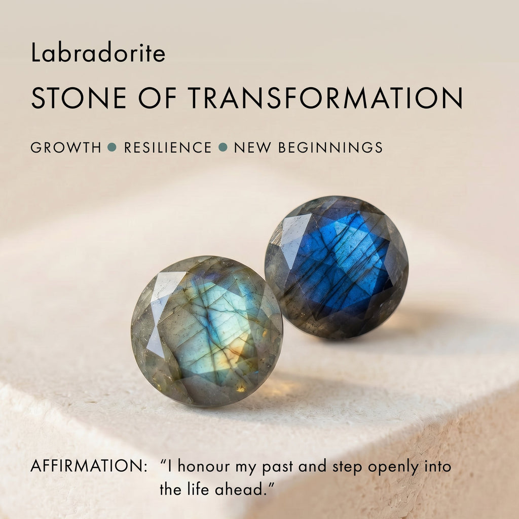 Black Obsidian Labradorite Necklace - Crush